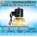 โซลินอยด์วาล์ว 24V (4หุน) รุ่น 2W-160-15 (size 1/2")